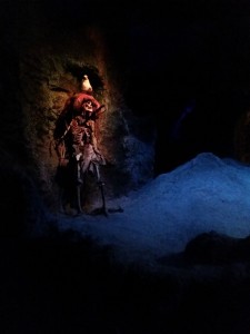 Disneyland 60
