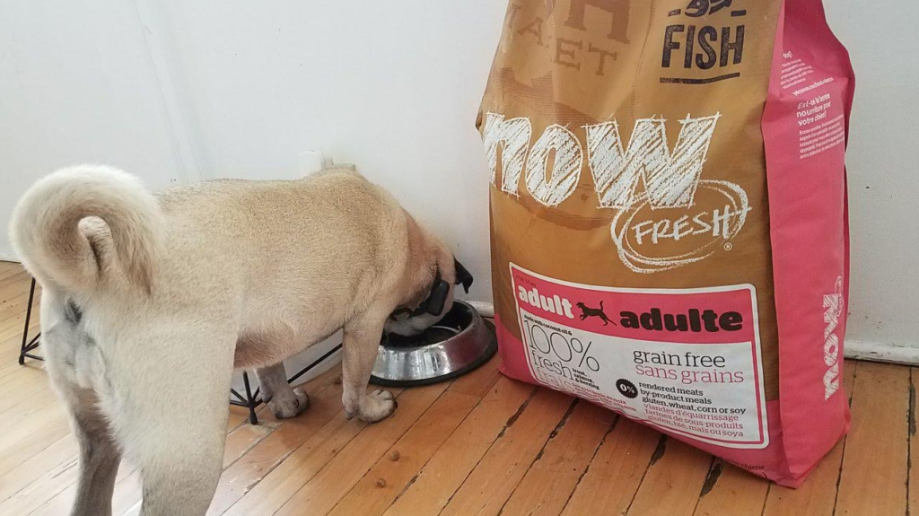 Petcurean dog food