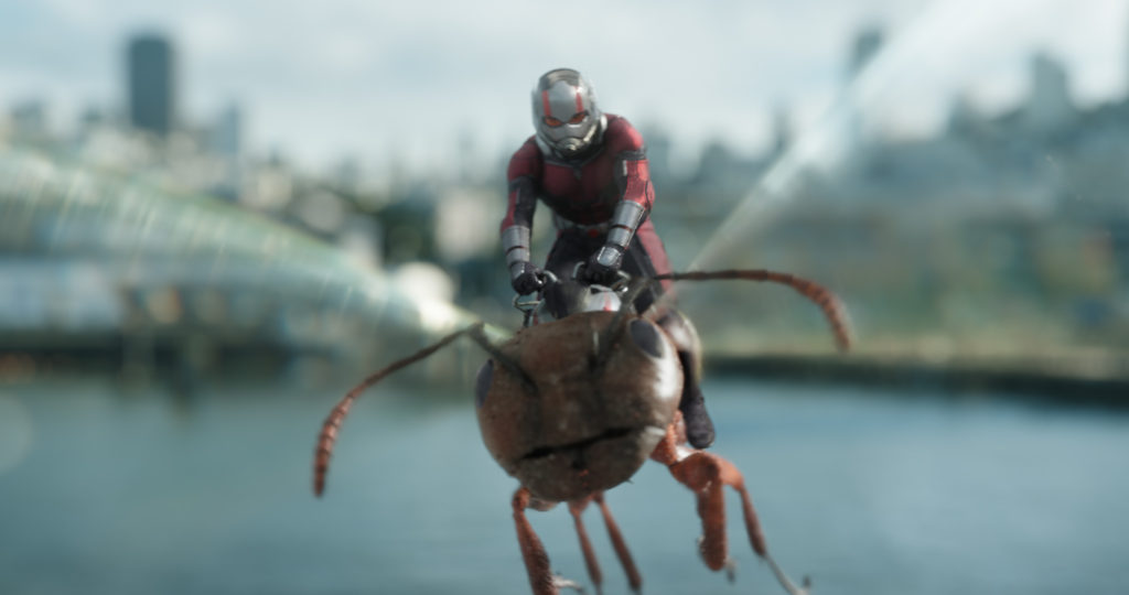 ant-man and the wasp flying ant