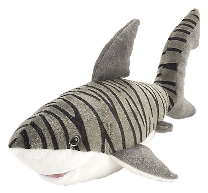 must have shark week toys and dvds giveaway