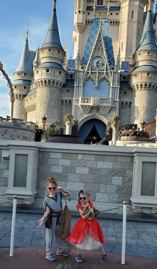 MNSSHP 2019
