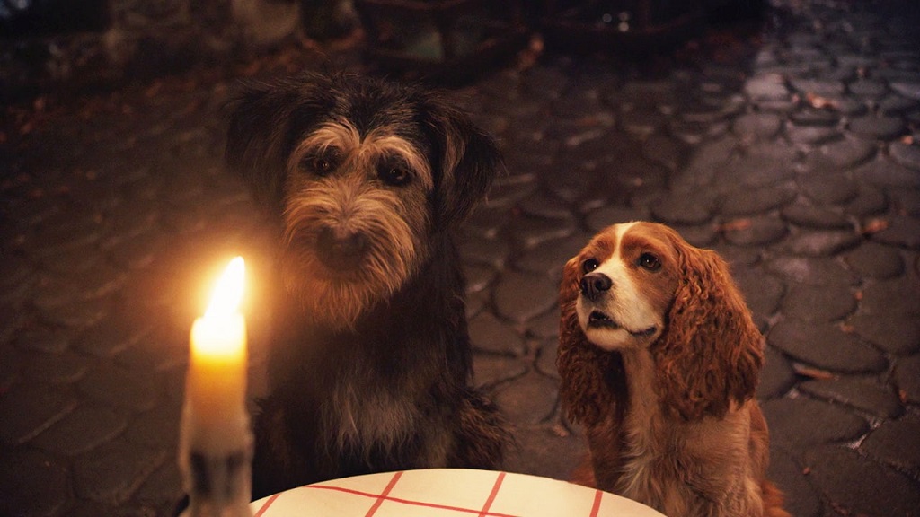 lady and the tramp