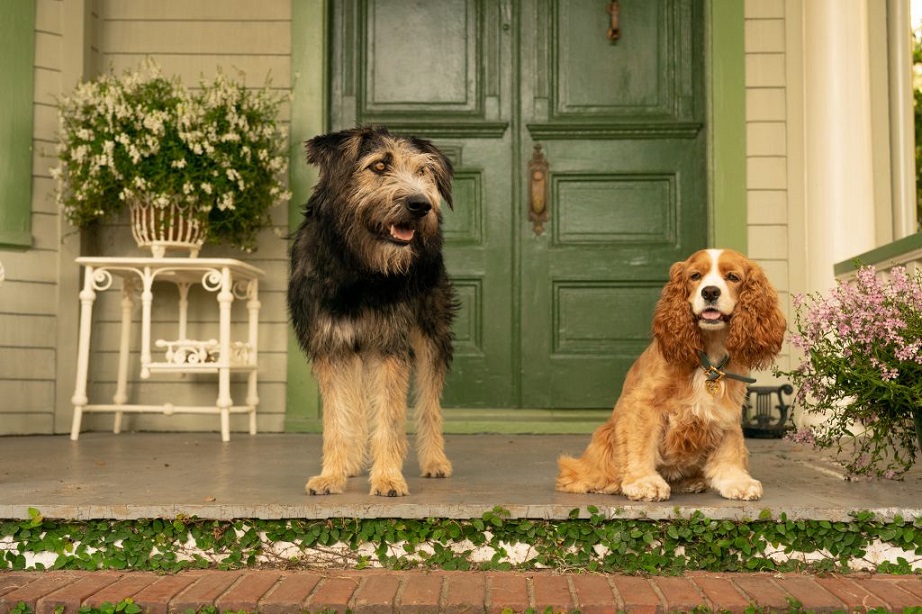 lady and the tramp disney+
