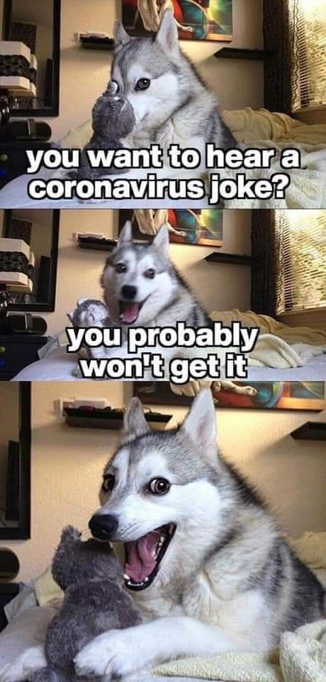 Coronavirus meme