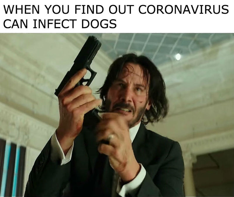 coronavirus meme