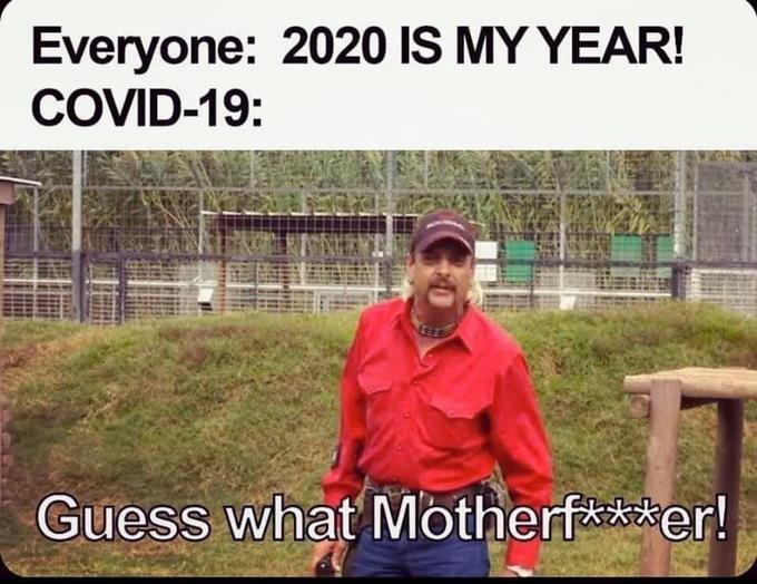 Coronavirus meme
