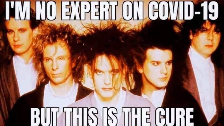 coronavirus meme